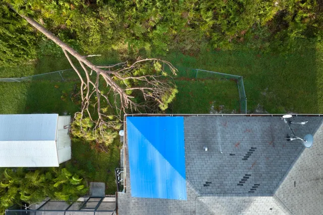 Storm damage from fallen tree on Connecticut home roof