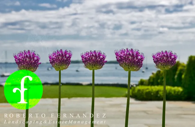 Roberto Fernandez Landscaping researched project photo