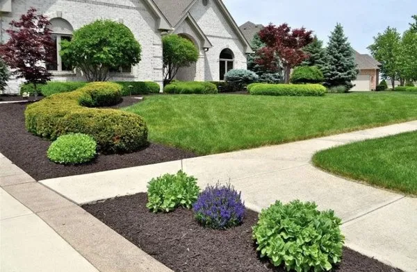 Done For You Landscaping researched project photo