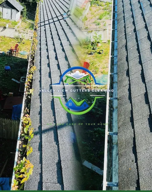 Valley view gutters cleaning