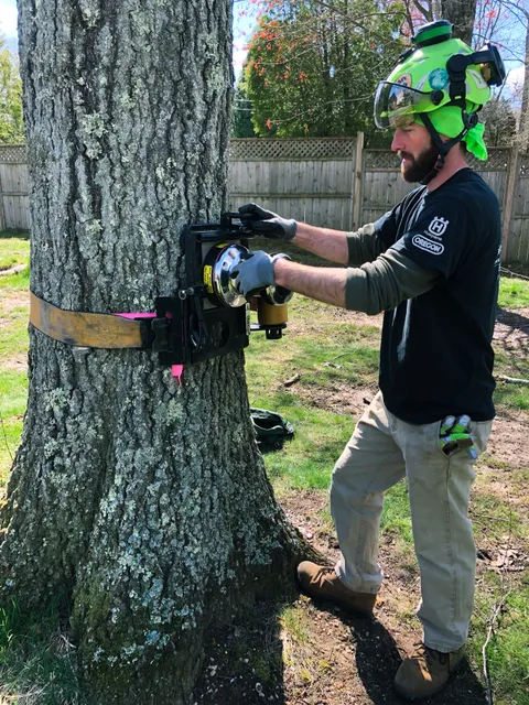 work photo from Google listing