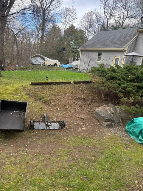 Bush Removal