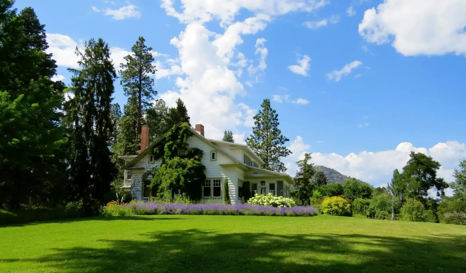Large green lawn with a house surrounded by trees, flowers, and a well-maintained garden under a bright blue sky