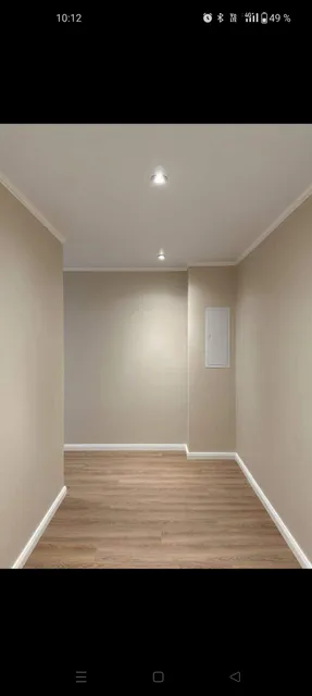 Reyna painting Llc