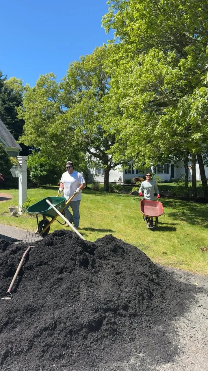 GB Landscape crew installing mulch