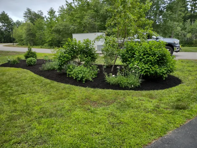 work photo from lewislawn.care