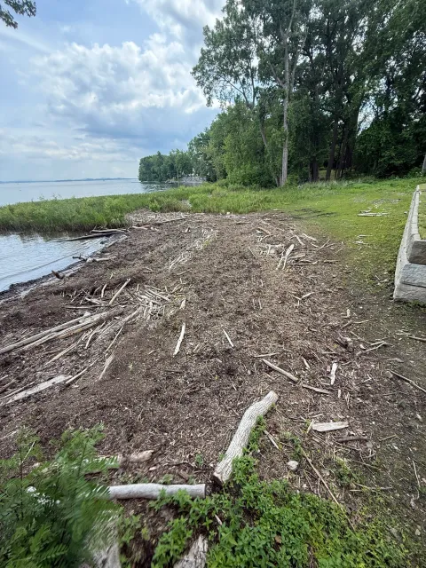 A lakeside shoreline with scattered driftwood, patches of grass, and trees in the background under a cloudy sky.