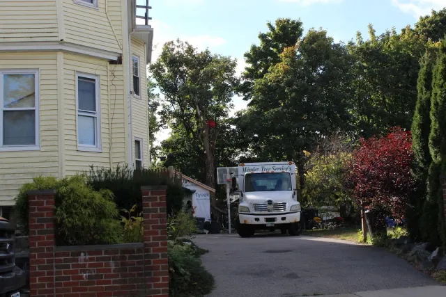 Multi-Tree Property Job