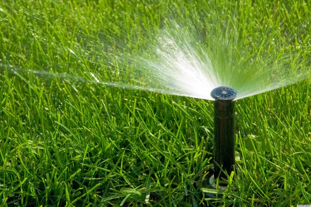 work photo from thegardenerslandscape.com