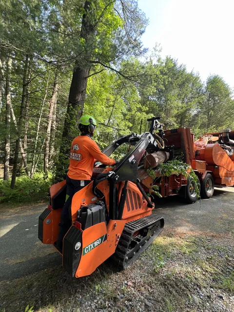 work photo from walnuttreeservice.com