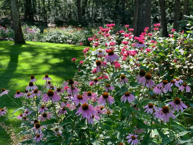 work photo from thymeinthegarden.com