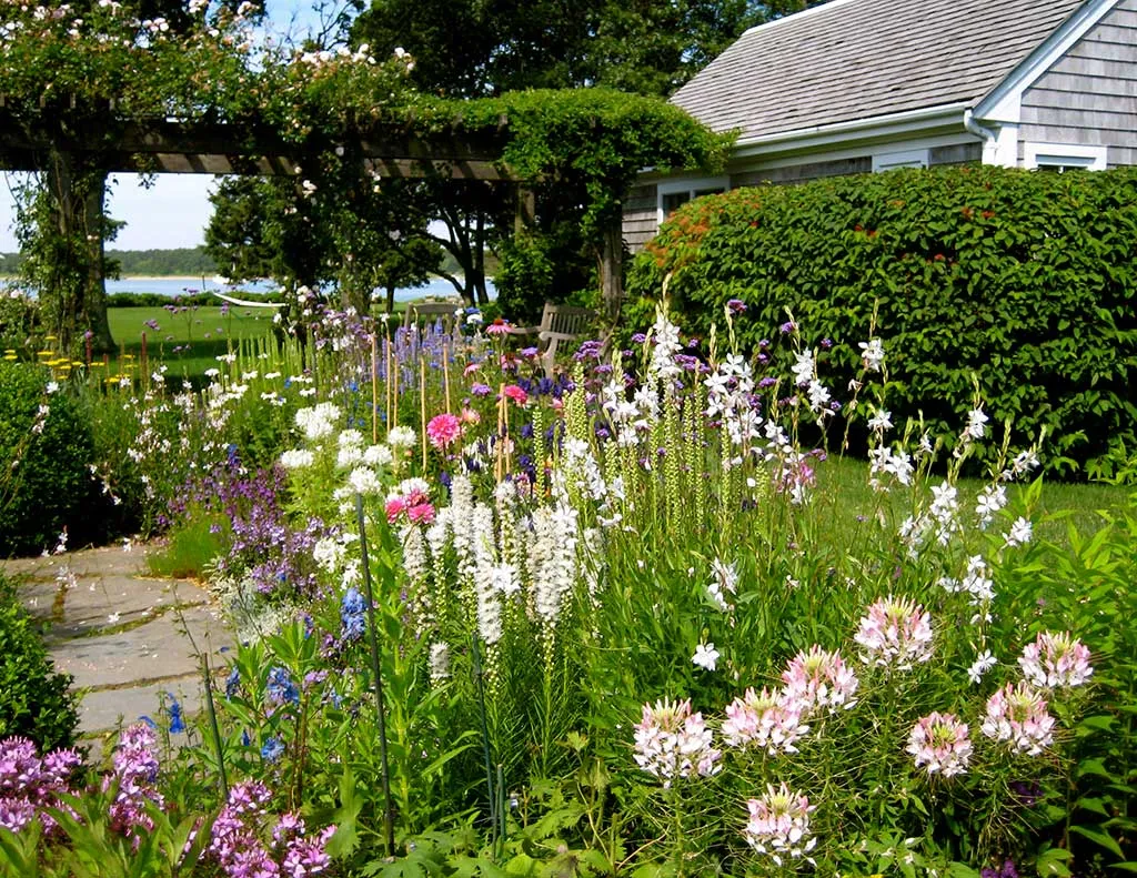 work photo from workingearthmarthasvineyard.com