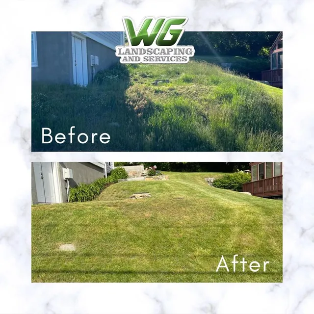 WG Landscaping and Services