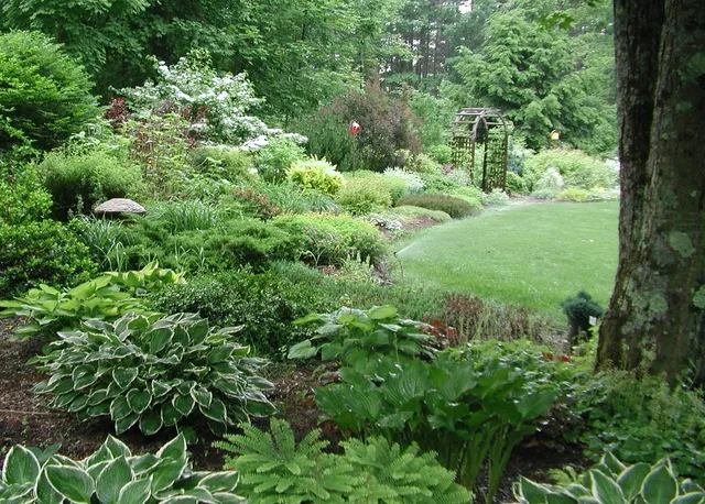 A lush garden featuring diverse greenery, including hostas and ferns, surrounds a grassy lawn with an archway in a tranquil setting.