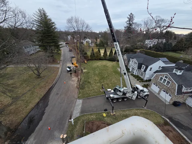 Crane operation at residential property — MacKenzie Tree CT