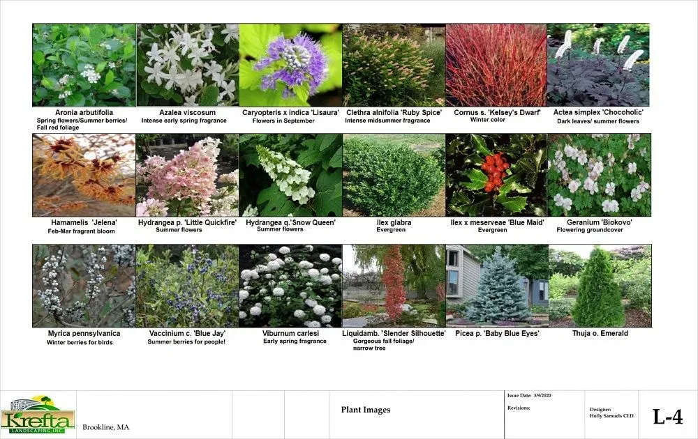 A grid of 18 plant images labeled with their common and scientific names on a landscaping project document titled L-4.