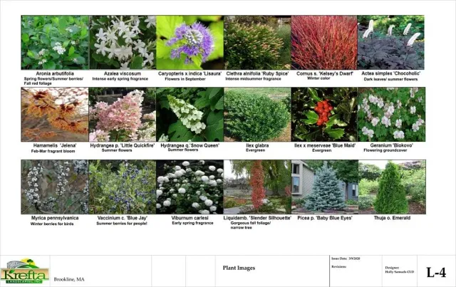 A grid of 18 plant images labeled with their common and scientific names on a landscaping project document titled L-4.