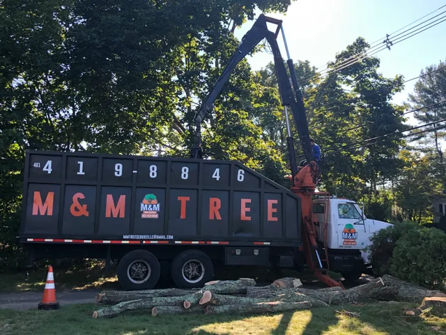 M&M Tree Service work photo