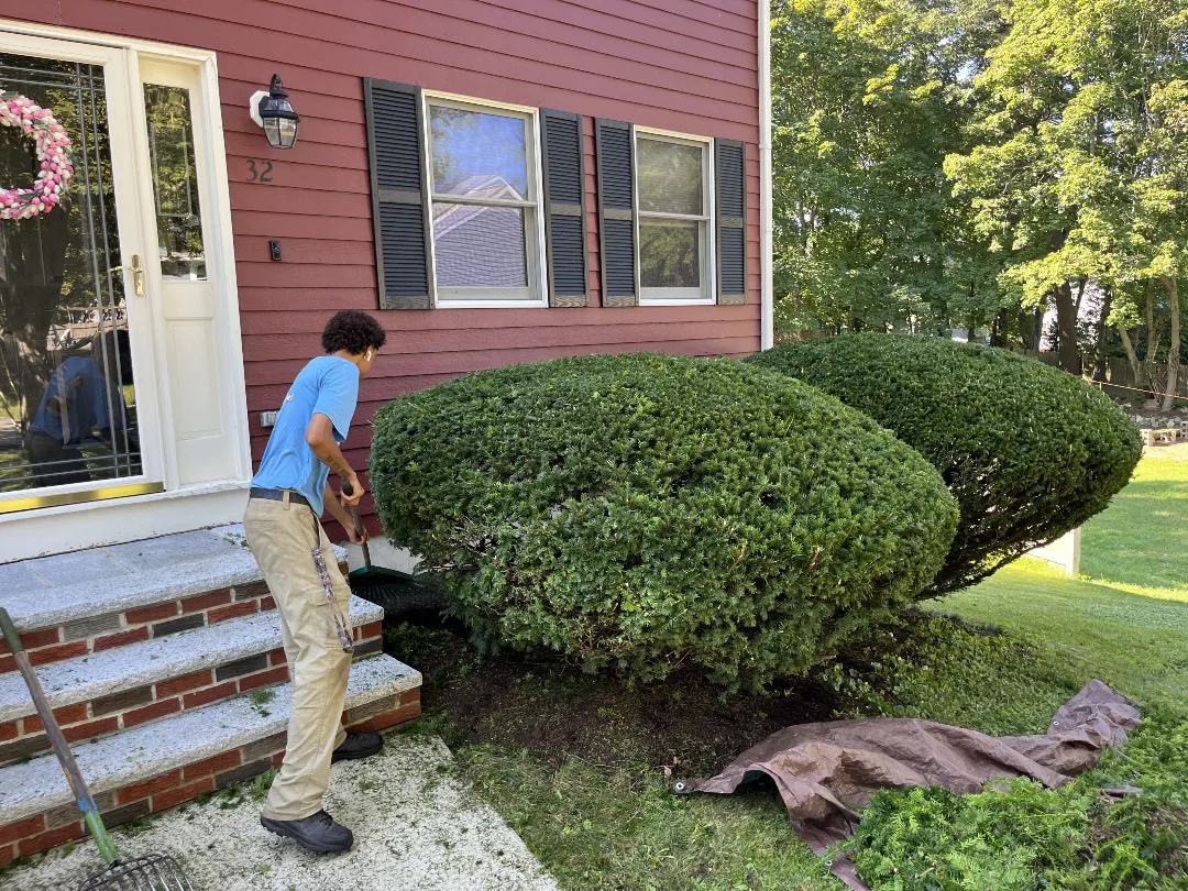 Simply Lawn Care Services