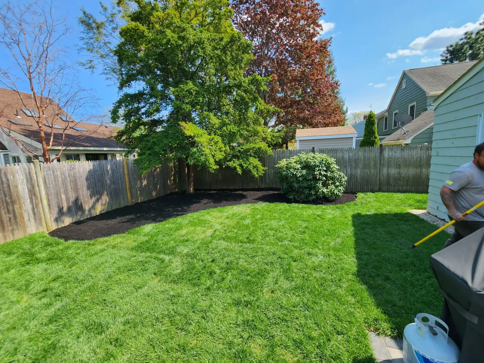 Fenced backyard with lush green grass and a dark mulched corner bed, framed by large trees and a round shrub