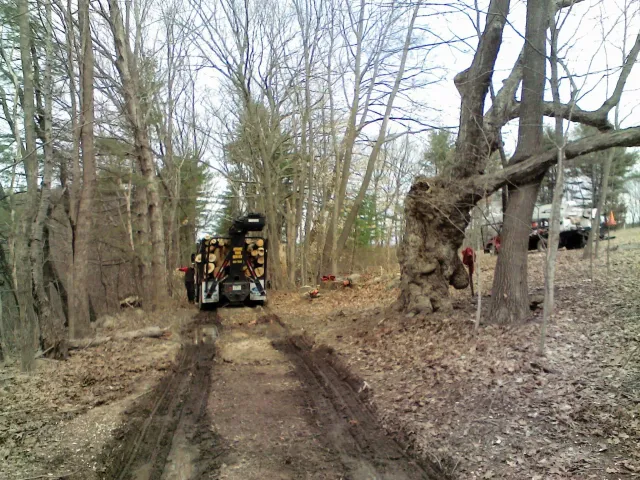work photo from atomictreeserviceinc.com
