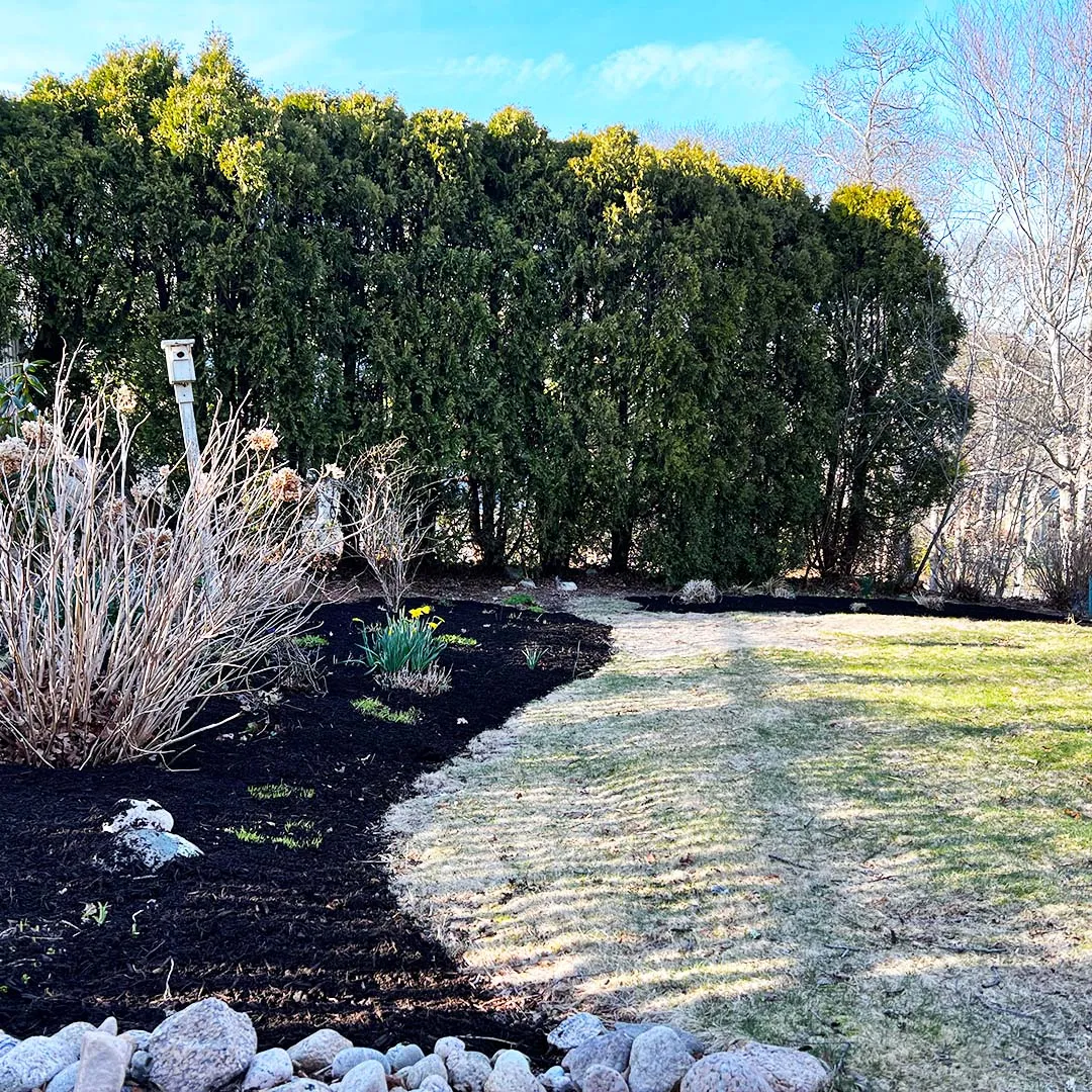 picture of flower bed with mulch for professional lawn care service near me in Falmouth, MA