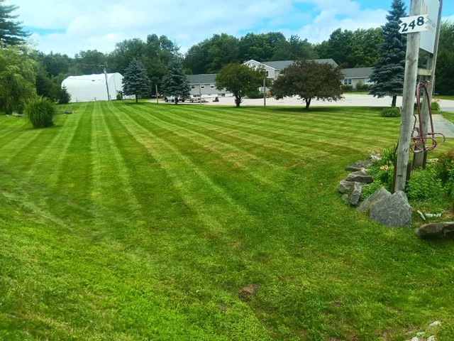 Lawns and landscaping