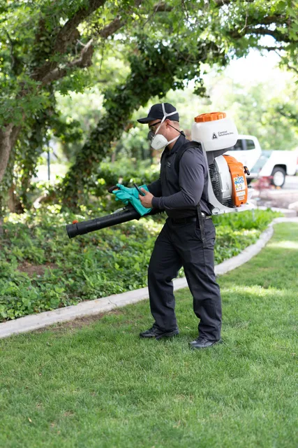 Wiggin Pest Services work photo