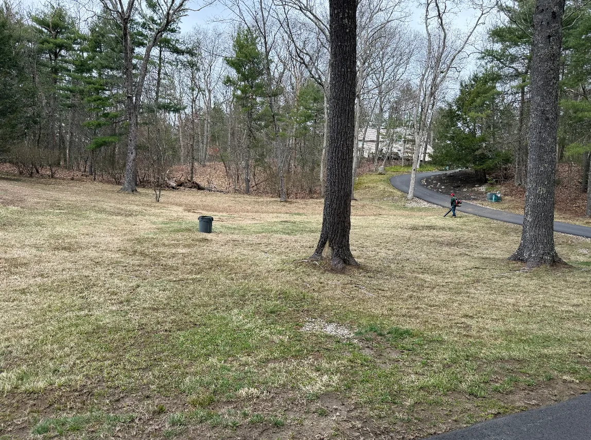 Spring Yard Cleanup