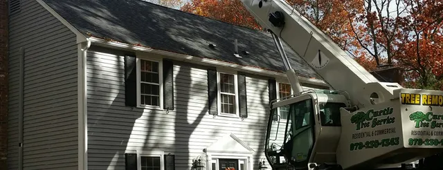 Curtis Tree Service work photo