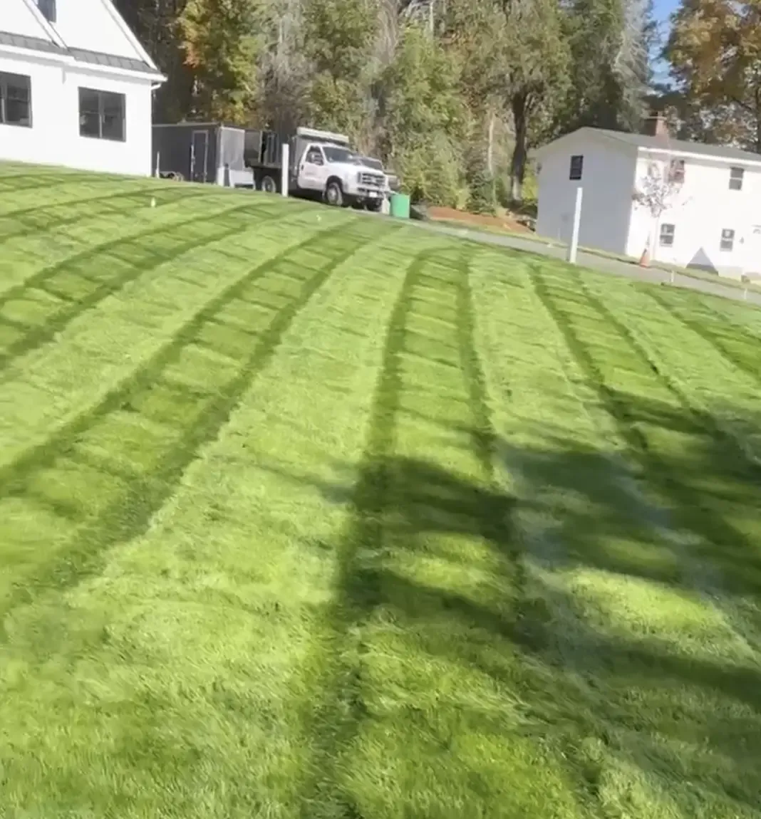 Mowing & Full Property Maintenance