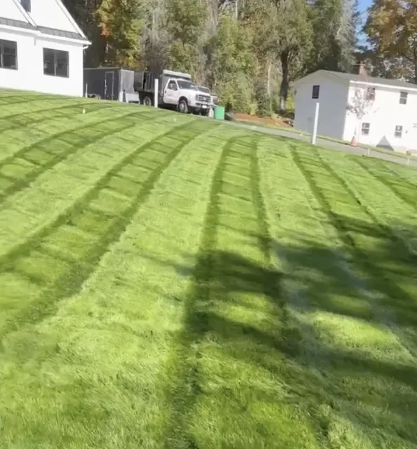 Mowing & Full Property Maintenance