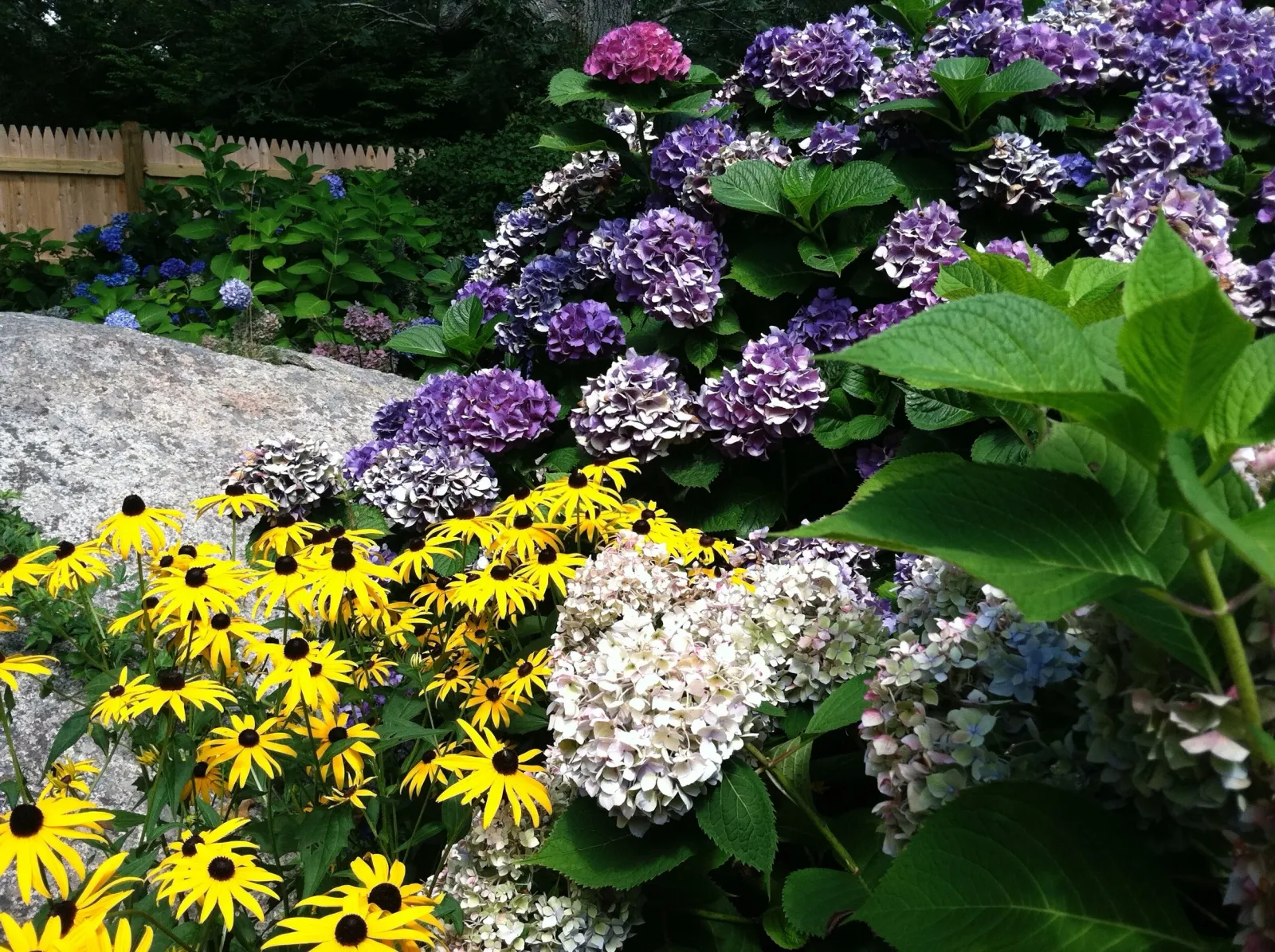 IMG_1491.jpeg
