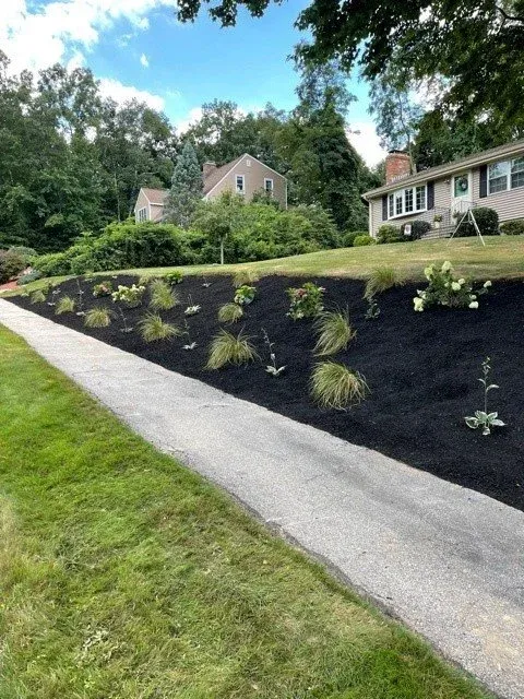 obrien landscape images (2).jpg