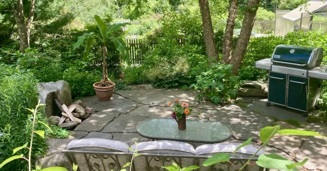 home landscaping design
