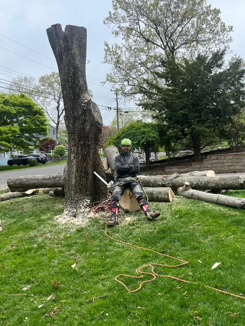 OAK LANDSCAPING & TREE SERVICES work photo