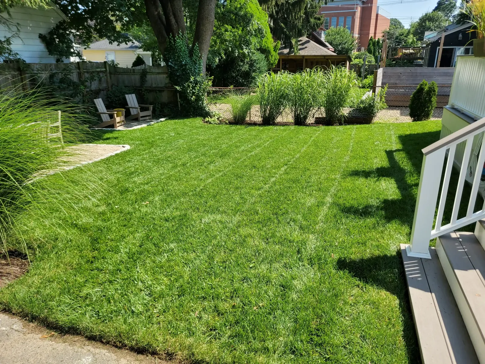 Neat backyard lawn with curved planting beds, tall grasses along the fence, and white chairs tucked into the shaded left corner
