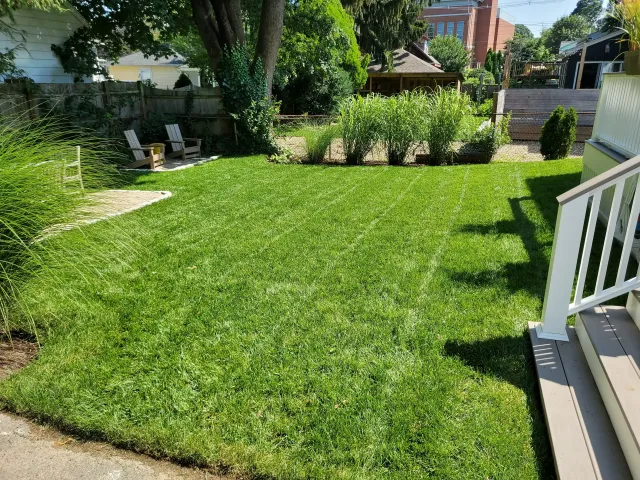 Neat backyard lawn with curved planting beds, tall grasses along the fence, and white chairs tucked into the shaded left corner