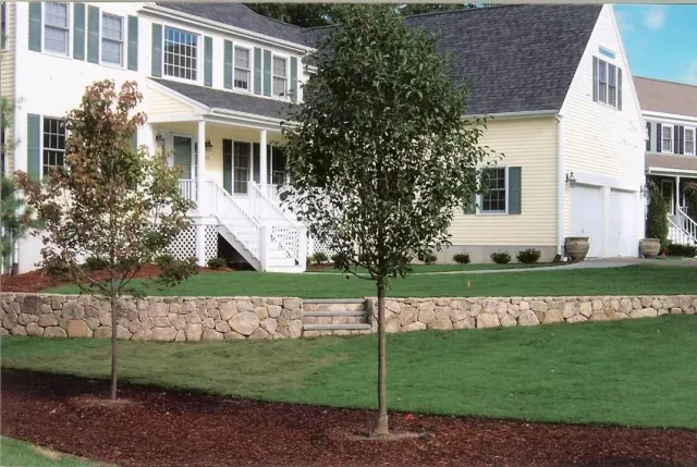 Residential house with white siding and green shutters, stone retaining wall, lawn, and young trees in the yard.