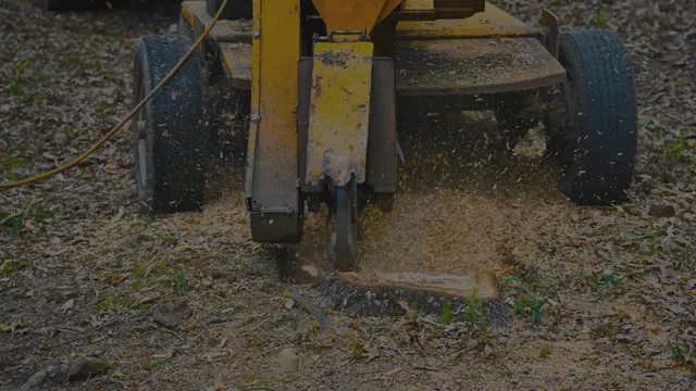 work photo from dcwoodservices.com