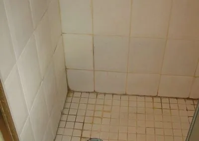 Shower Cleaning and Grout Repair Westwood Massachusetts