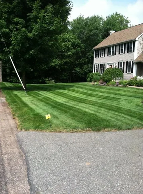 Johnson Landscape Service researched project photo