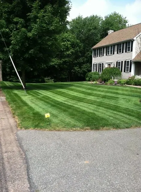 Johnson Landscape Service researched project photo