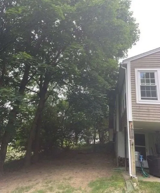 House with trees in backyard