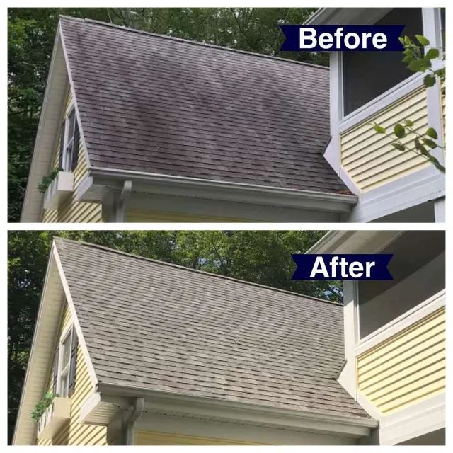 Briand's Exterior Washing work photo