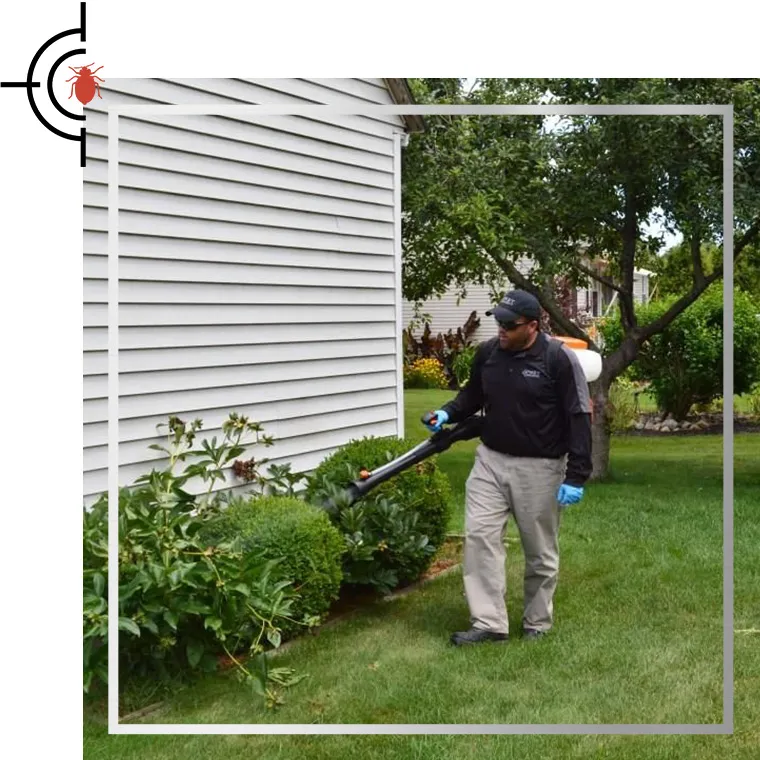 work photo from pestassassins.com