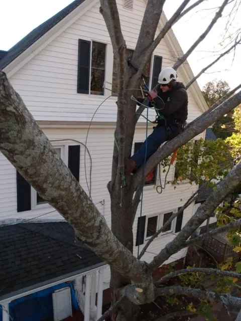 climb.jpg