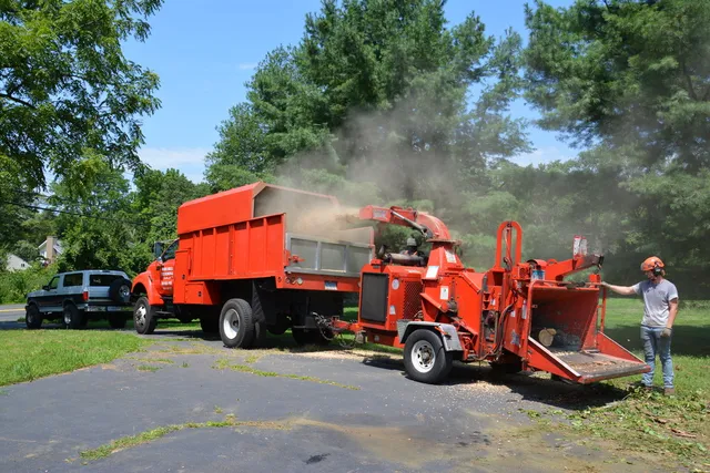 White Hills Tree Removal LLC work photo