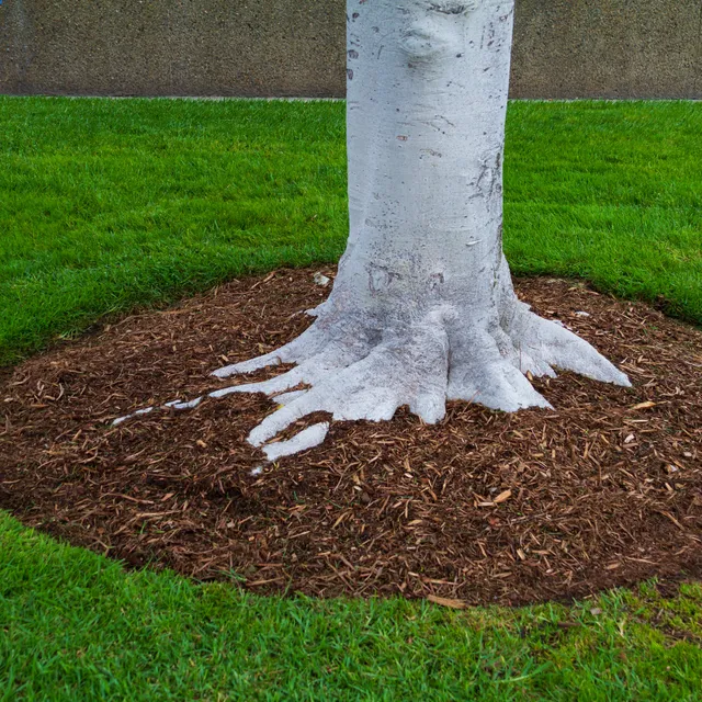 Fresh mulch installation