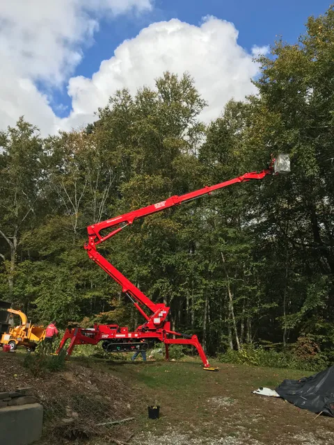 Sheehan Tree Removal work photo